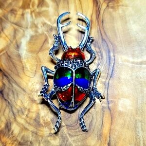 Colorful Beetle Bug Novelty Unique Silver Tone Brooch Pin
